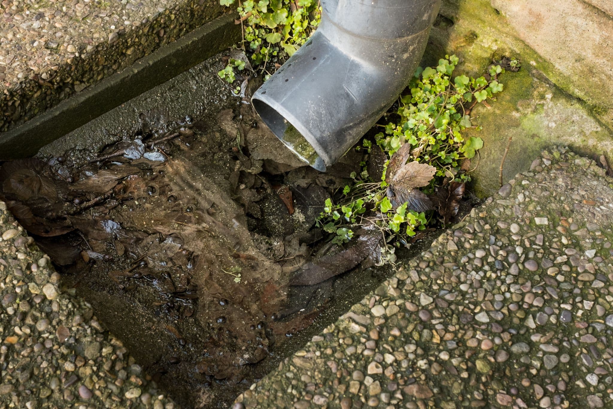 Blocked drain problem Leeds, West Yorkshire