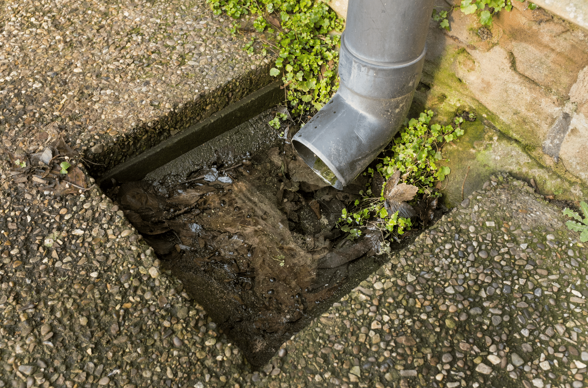 clearing drains